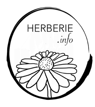 Herberie.info