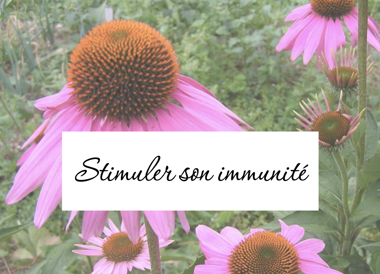 Miniature Stimuler son immunité sept26